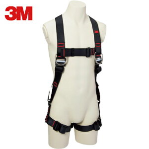 3M X[G n[lX^ė~pixgȂj veN^ tn[lX H^ 1161654N STCY (1{) iԁF1161654N