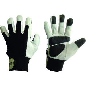 xm Ǝ v ؖ{v gNObv M (1o) iԁF664-M