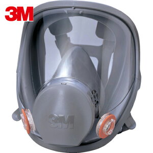 3M X[G hŃ}XNSʌ`ʑ 6000F LTCY (1) iԁF6000F L