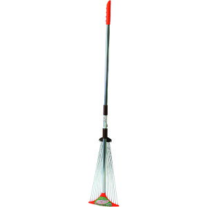 󍁍H  LkXChK[f[L  (1{) iԁF191296