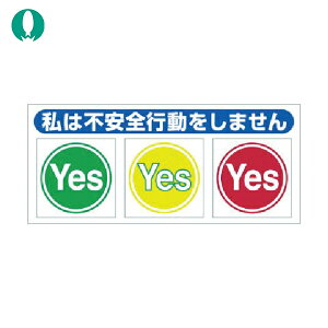  wbgV[uCG[bhv10 (1g) iԁF847-BV