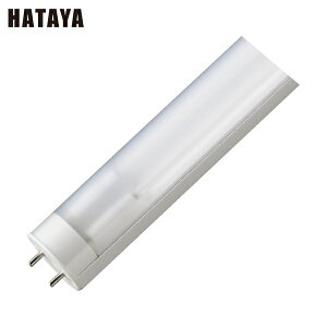 n^ ۏƖV[Yi40W`u^Cvj (1) iԁFASF2S265