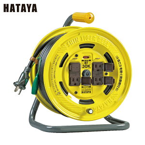 n^ dHh R[h[ V^CK[[ P100V^ 30m A[X u[J[ xZT[t (1) iԁFBT-30KS