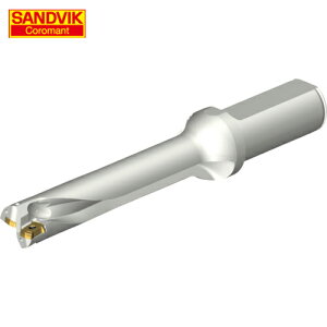 SANDVIK ThrbN RhDS20nhi465j (1{) iԁFDS20-D2000L25-05