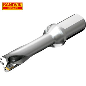 SANDVIK ThrbN RhDS20nhi465j (1{) iԁFDS20-D3500L40-04