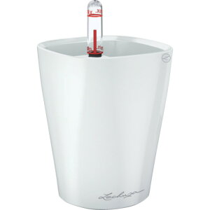 Lechuza K[fjO v^[ ʋv^[ ~jfeB[j ye0.4L zCg (1) iԁF14950