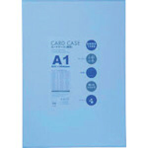 xX J[hP[XA1 d (1) iԁFCHA-101