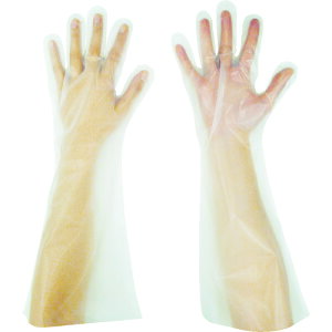 pbN Ǝ ĝĎ G{X܃Oܖ{i NA M i50j (1) iԁFEL45M