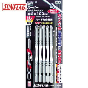 VT쏊 TtbO itXg[Vrbg 2X100 i5{j (1Pk) iԁFBXB-52100