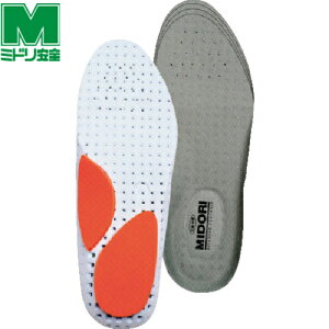 ~hS SC ƌC ~ JbvC\[ E-01 STCY 1g (1) iԁFE-01-S