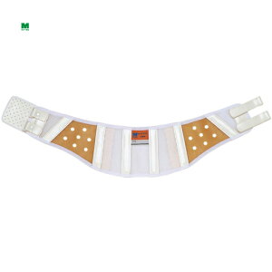 ~hS یxg 炭悤 p MTCY (1) iԁFDR-1L-M