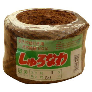 �G�����@�����ꕽ��3mm×50m�@�`��