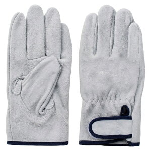 EX�@������ȁ@EX�|333