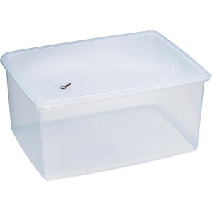 v r|bgp[^No.8 (1) iԁF281007