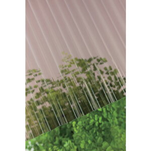 ^L |JgMJbg 32g 7 4810uY (1) iԁF235785