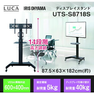 ACXI[} 537629 LUCA fBXvCX^h UTS-S8718S ubN (1) iԁFUTSS8718S