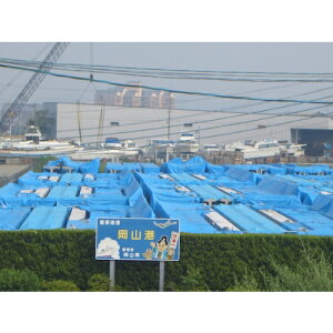  u[V[g ^[s[NXu[3000 1.8m×100m (1{) iԁFTPC18BL