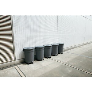 Rh RY ʃy[ Op W{y[YD-145C O[ 145L (1) iԁFYD115CPC