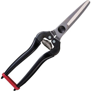 AX ARS H pr XeX (1) iԁFKG-300LW-DX-BP