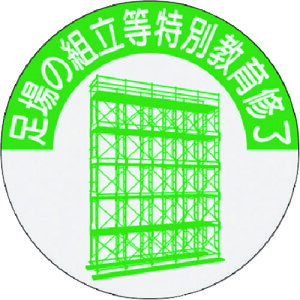  i\XebJ[ ̑gʋC (1) iԁF816-T