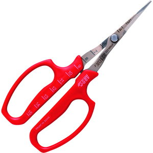 AX ARS ԂǂE n uX^[pbN (1) iԁF321DX-T-BP