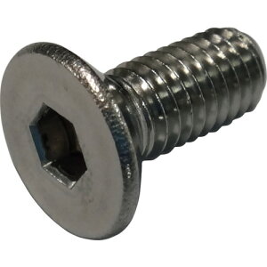 RmG ZptM{g XeX M8×40 (10{) iԁFFLATCSSUS840