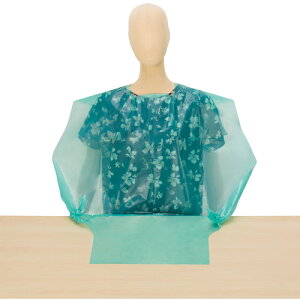 VK[ HGvg؂2.5WAYi50jO[ (1) iԁFLPE0251NSGB