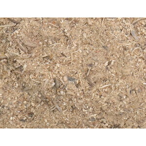 O[NX 100L (1S) iԁF6300033118