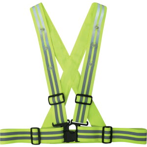 쑽 LEDXgb`Sxgi4.8cmj No6100 C t[ (1) iԁFNO6100-LIM-F