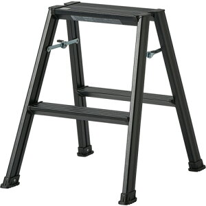 Vn TENMA A~ݑ2i ubN (1) iԁF812004245