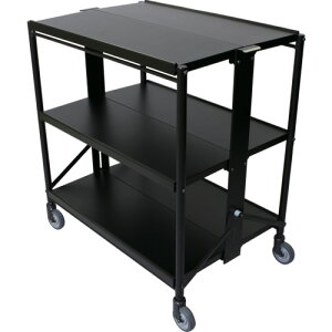 _fB VGS 3i (1) iԁFCW-T3