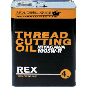 REX bLXH ˂؂IC 100SW-RN4L (1) iԁF183014