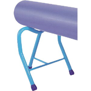 MCC ǃT|[gX^_[h (1) iԁFJPSS-250