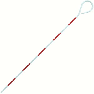 V s|[X`[50cm (1) iԁF76977