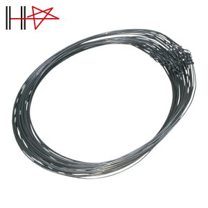 �_�C�h�[�n���g �d�p�j�� 100�{�� 70cm (1��) �i�ԁF10155901