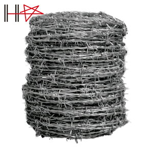 �_�C�h�[�n���g ���j�N�� �L�h�S�� ��14X100M (1��) �i�ԁF00055785