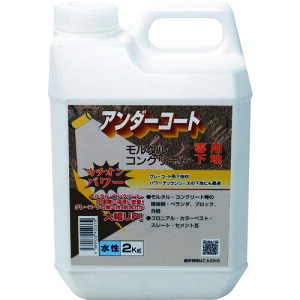 p[ebN zpn J`I^A_[R[gnށij  2kg (1) iԁF17624