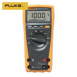 FLUKE �t���[�N �f�W�^���E�}���`���[�^�[�i�^�̎����l�j (1��) �i�ԁF175
