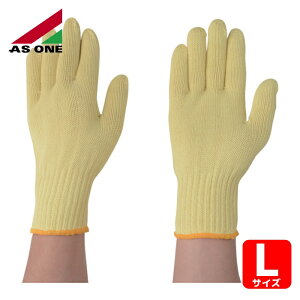 �A�Y���� AS ONE 1-6924-01 ���S���(�P�v���[��)CR-1001 (1��)