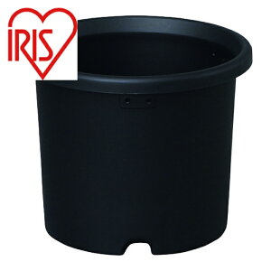 ACXI[} K[fjO v^[ 2.0L e O[ 5 (1) iԁF290673