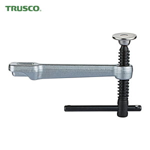 gXR TRUSCO [^Nvpnh [30.0mӂƂ250mmp (1) iԁF3025AST