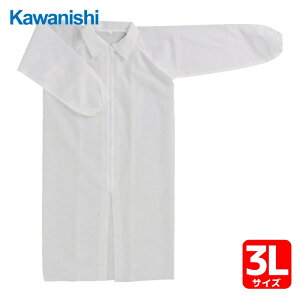 �쐼�H�� �g���̂ĕی앞 �H�ꌩ�w�p�s�D�z3�_�Z�b�g�i���� �}�X�N �w�A�L���b�v�j 3L�T�C�Y (1S) �i�ԁF7022-3L