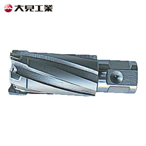 �匩�H�� CCSQ320 35SQ�N�����L�[�J�b�^�[ �n�a32.0mm (1�{)