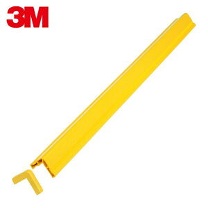 3M X[G _ChO[h R[i[K[hiDGR[i[K[hj (1{) iԁFDGC 1000YFY