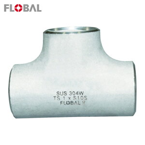 �t���[�o�� FLOBAL B-TS-10S-100A ���a�`�[�Y S10S 09100069 (1��)