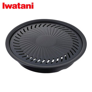 ��J�Y�� Iwatani �W���j�A�ē��v���[�g (1��) CB-A-YPJ