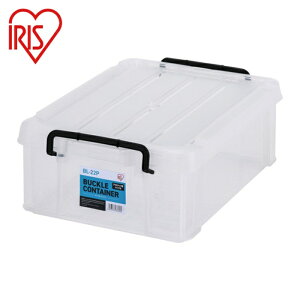 ACXI[} [P[X t^t 299236 obNRei NA (1) iԁFBL-22P-CL