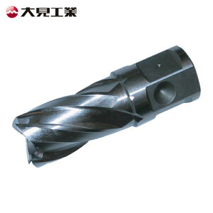 �匩�H�� HCSQ240 25SQ�n�C�X�J�b�^�[ �n�a24.0mm (1�{)
