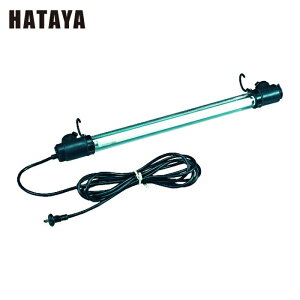 n^ A20Wut[Cg 5mdt (1) iԁFFFW-5