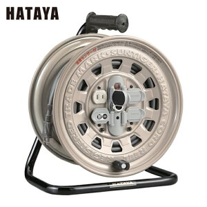 n^ dHh R[h[ T^CK[[ xZT[tR[h[ P100V20M (1) iԁFGT-20S